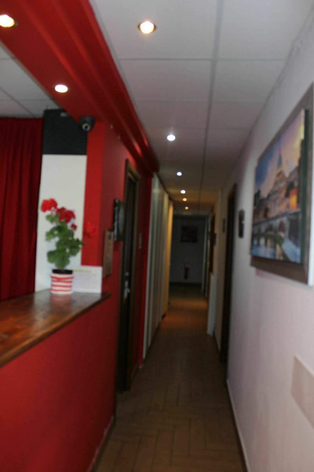 Mr. Charlie Brown Hotell Roma Eksteriør bilde